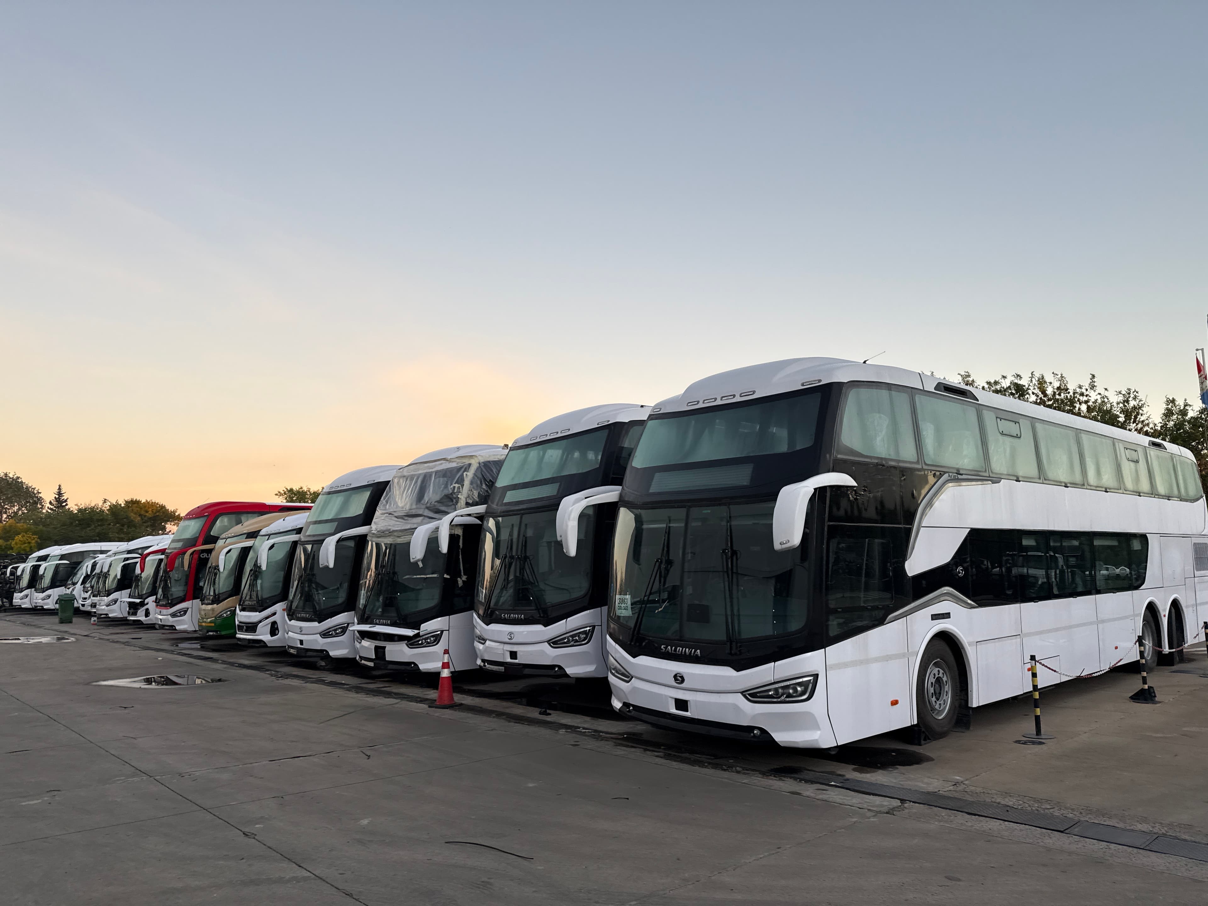 Flota de buses Saldivia en planta