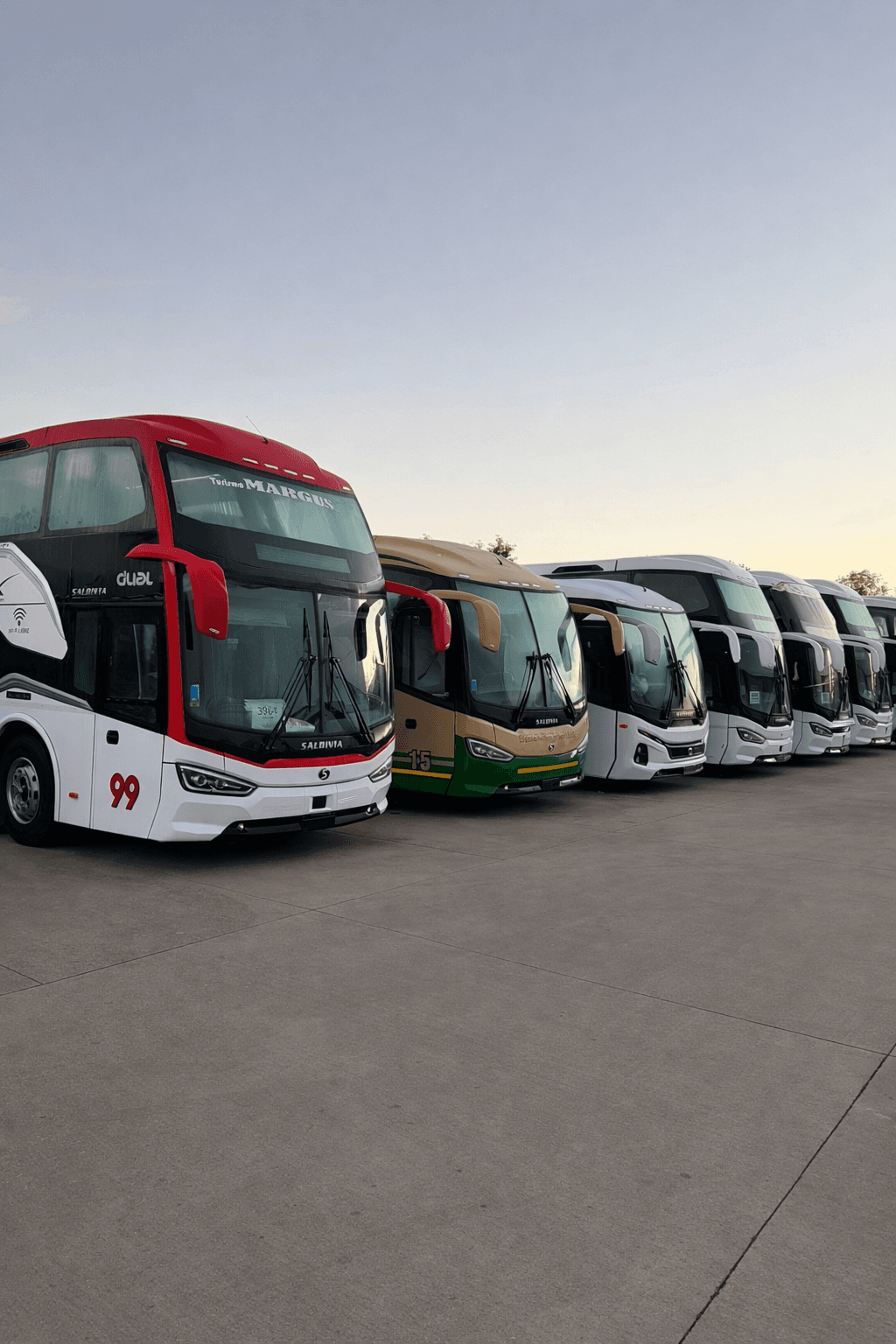 Flota completa de buses Saldivia
